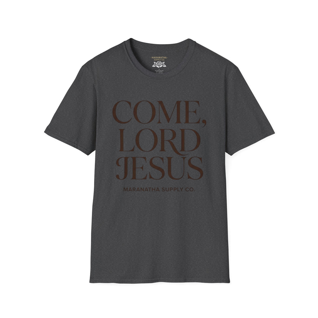 Come Lord Jesus