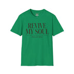 Revive My soul