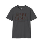 Revive My soul